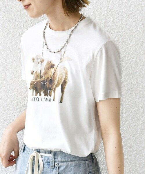 SHIPS / シップス Tシャツ | 【SHIPS別注】ACASAM: フォト TEE | 詳細21