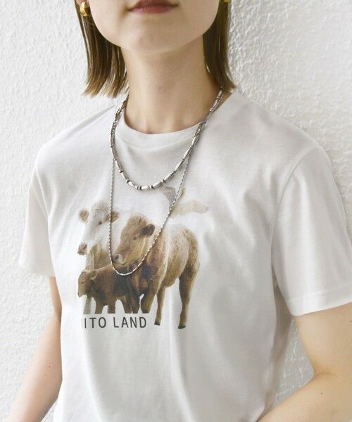 SHIPS / シップス Tシャツ | 【SHIPS別注】ACASAM: フォト TEE | 詳細23