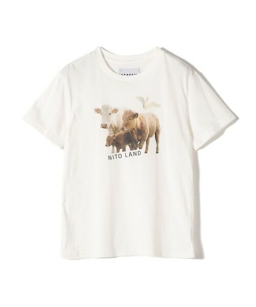 SHIPS / シップス Tシャツ | 【SHIPS別注】ACASAM: フォト TEE | 詳細24