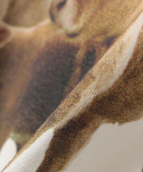 SHIPS / シップス Tシャツ | 【SHIPS別注】ACASAM: フォト TEE | 詳細25