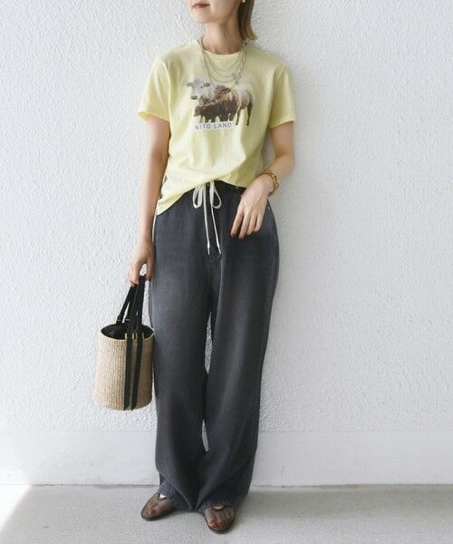 SHIPS / シップス Tシャツ | 【SHIPS別注】ACASAM: フォト TEE | 詳細27