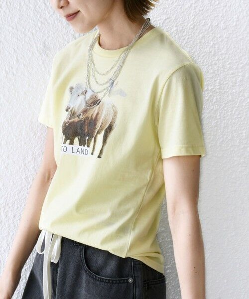 SHIPS別注】ACASAM: フォト TEE （Tシャツ）｜SHIPS for women