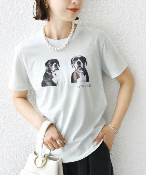 SHIPS for women / シップスウィメン 【SHIPS別注】ACASAM: フォト TEE SHIPS別注】ACASAM: フォト TEE （Tシャツ）｜SHIPS for women
