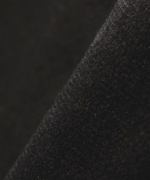 SHIPS / シップス Tシャツ | SHIPS any:〈洗濯機可能〉ポリエステル ベロア ハーフスリーブ コンパクト TEE | 詳細10