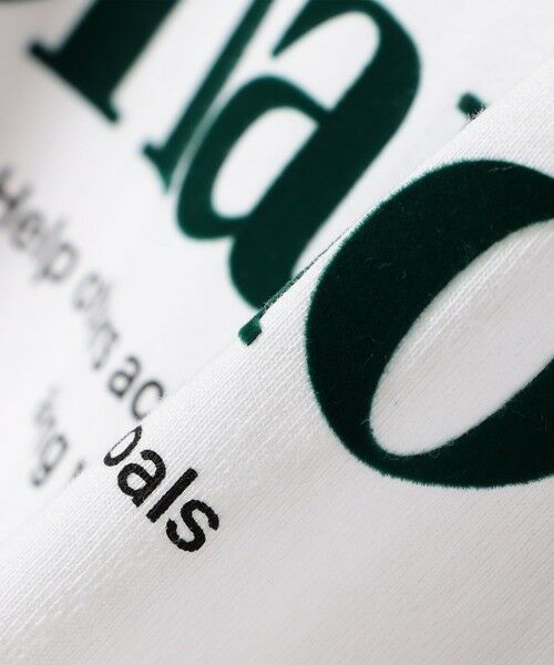 SHIPS / シップス カットソー(半袖以外) | 【SHIPS別注】Champion: プリント ロングスリーブ TEE | 詳細23