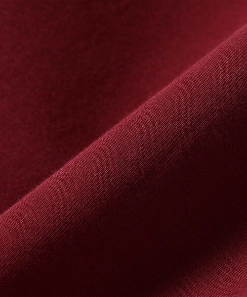 SHIPS / シップス スウェット | 《一部追加予約》quaranciel:〈洗濯機可能〉ポンチ ロゴプリント ポロ スウェット プルオーバー | 詳細28