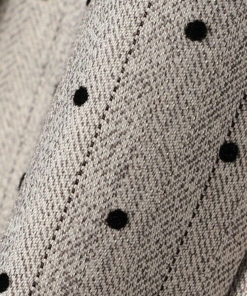 SHIPS / シップス ロング・マキシ丈スカート | quaranciel:〈洗濯機可能〉フロッキー ドット ストライプ フレア スカート | 詳細16