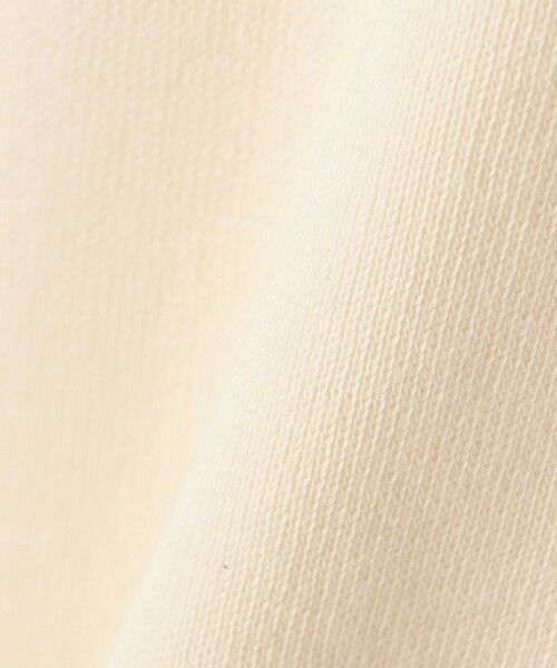 SHIPS / シップス カットソー（半袖以外） | gicipi:クルーネック リラックス フィット ミラノ リブ カットソー（SPINACIO） | 詳細1