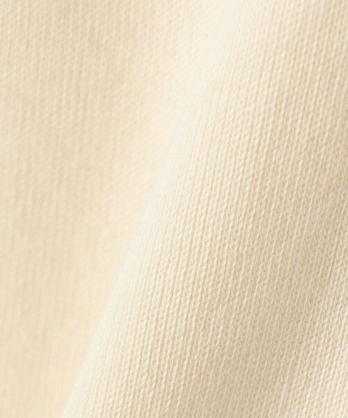 SHIPS / シップス カットソー（半袖以外） | gicipi:クルーネック ミラノ リブ ラグラン スリーブ（TARTUFO） | 詳細1