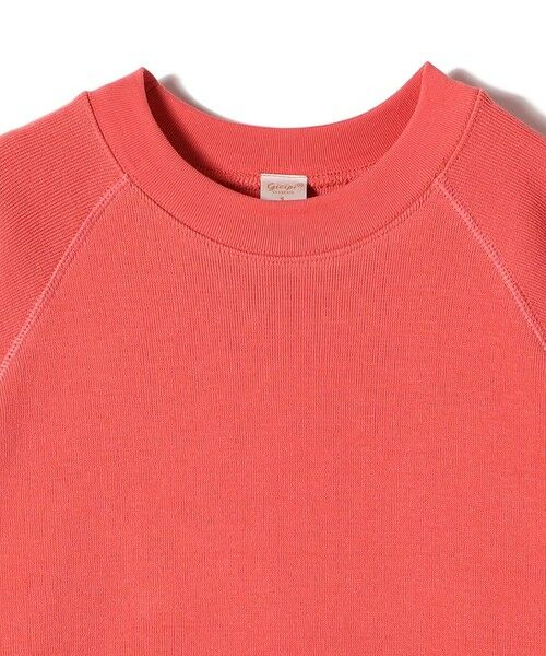 SHIPS / シップス カットソー（半袖以外） | gicipi:クルーネック ミラノ リブ ラグラン スリーブ（TARTUFO） | 詳細3