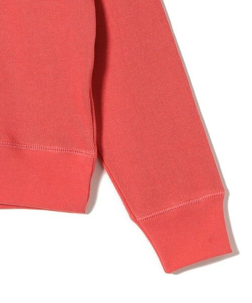 SHIPS / シップス カットソー（半袖以外） | gicipi:クルーネック ミラノ リブ ラグラン スリーブ（TARTUFO） | 詳細4