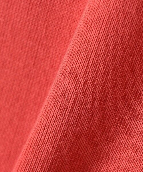 SHIPS / シップス カットソー（半袖以外） | gicipi:クルーネック ミラノ リブ ラグラン スリーブ（TARTUFO） | 詳細5