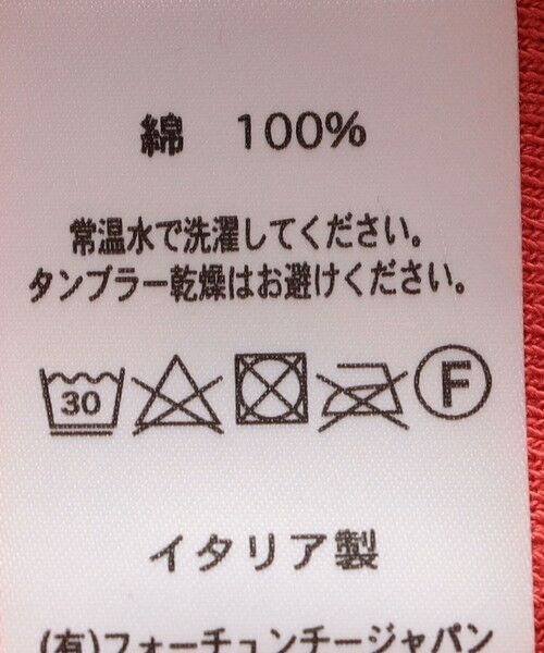 SHIPS / シップス カットソー（半袖以外） | gicipi:クルーネック ミラノ リブ ラグラン スリーブ（TARTUFO） | 詳細6