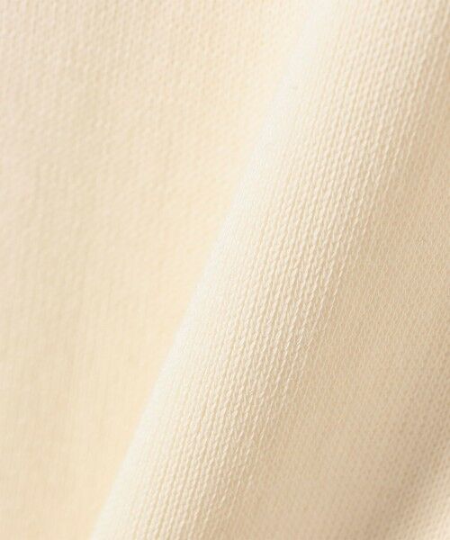 SHIPS / シップス カットソー（半袖以外） | gicipi:Vネック リブ付き ロング スリーブ ミラノリブ ニットソー （GIRAFFA） | 詳細1