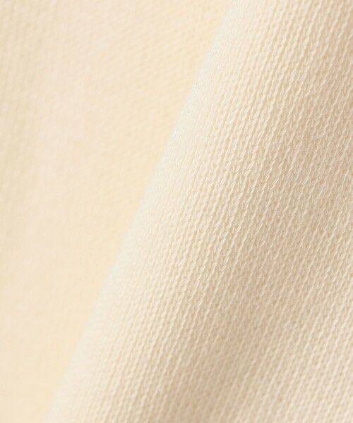 SHIPS / シップス ベスト | gicipi:クルーネック リブ付き ジレ （ZEBRA） | 詳細1