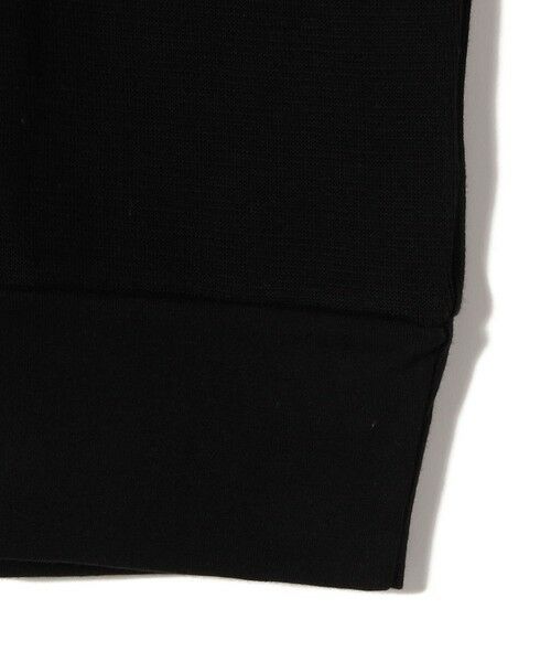 SHIPS / シップス ベスト | gicipi:クルーネック リブ付き ジレ （ZEBRA） | 詳細4