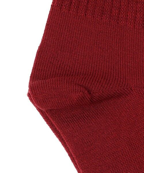 SHIPS / シップス ソックス | Piedi Nudi:リブ ライン ソックス | 詳細2