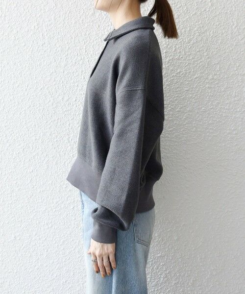 SHIPS / シップス カットソー（半袖以外） | SHIPS any:〈手洗い可能〉サカリバ コンパクト ポロシャツ プルオーバー | 詳細29