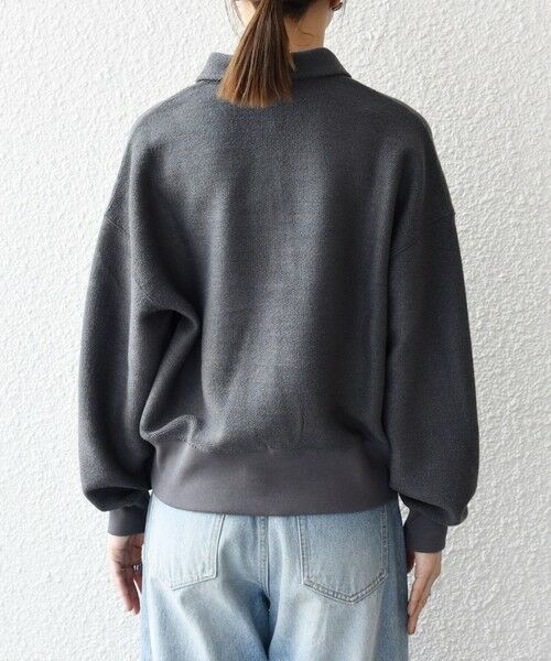 SHIPS / シップス カットソー（半袖以外） | SHIPS any:〈手洗い可能〉サカリバ コンパクト ポロシャツ プルオーバー | 詳細30