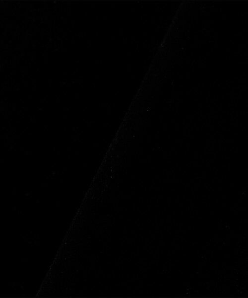 SHIPS / シップス カットソー（半袖以外） | SHIPS Colors:〈手洗い可能〉フロッキー メッシュ タートルネック インナートップス | 詳細1