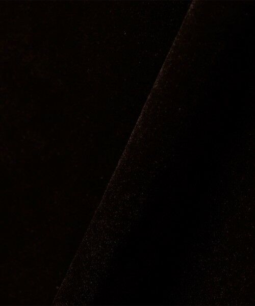 SHIPS / シップス カットソー（半袖以外） | SHIPS Colors:〈手洗い可能〉フロッキー メッシュ タートルネック インナートップス | 詳細24