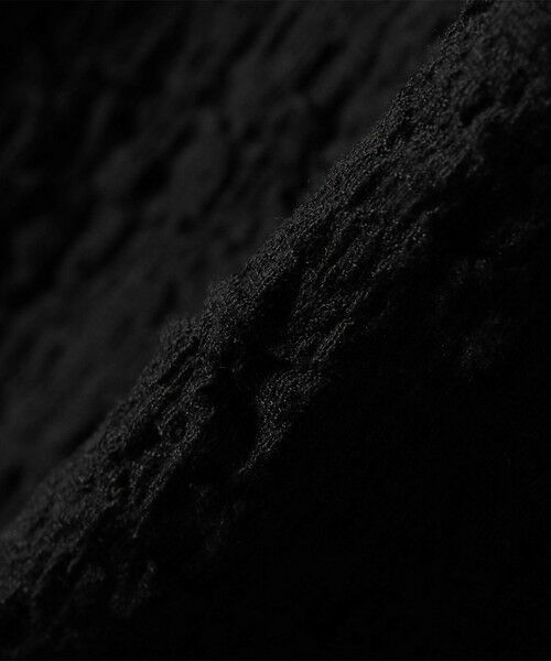 SHIPS / シップス カットソー（半袖以外） | assiette:〈手洗い可能〉シャーリング レース プルオーバー | 詳細2