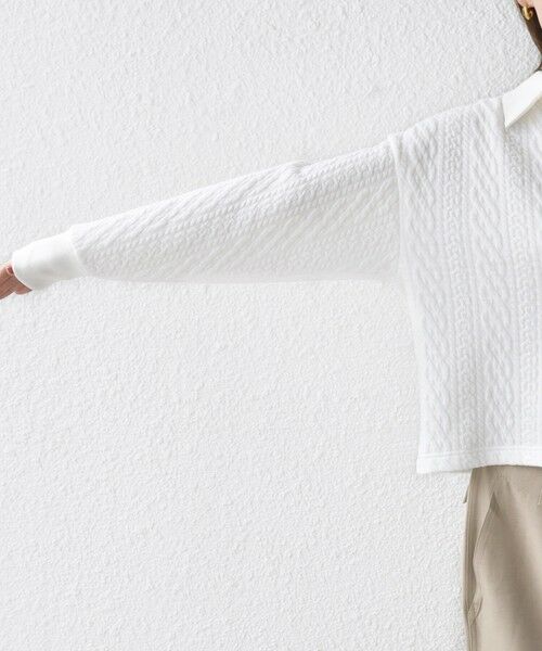 SHIPS / シップス カットソー（半袖以外） | 【WEB限定】〈手洗い可能〉ケーブル ジャージー ポロ プルオーバー | 詳細15