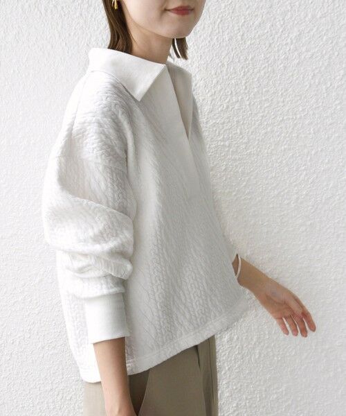 SHIPS / シップス カットソー（半袖以外） | 【WEB限定】〈手洗い可能〉ケーブル ジャージー ポロ プルオーバー | 詳細8