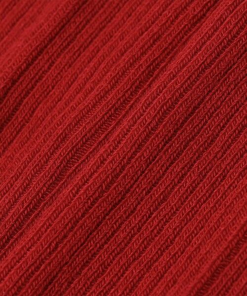 SHIPS / シップス ストッキング・タイツ・その他 | Piedi Nudi:リブ タイツ | 詳細4