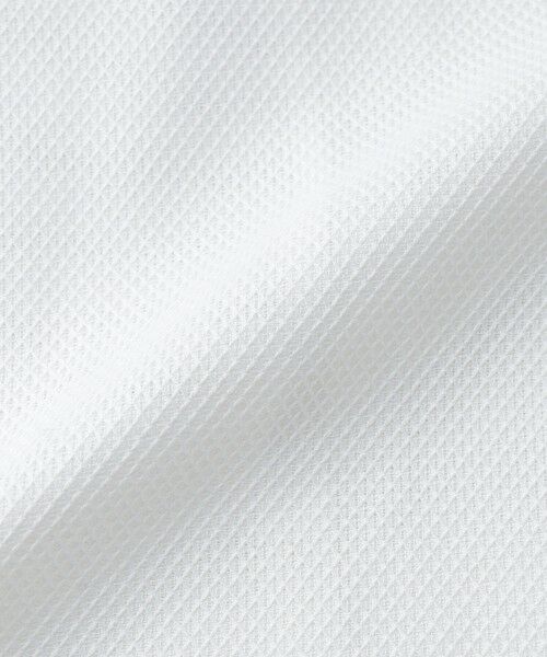 SHIPS / シップス シャツ・ブラウス | SHIPS: イタリアン ボタンダウン カラミ ソリッド シャツ | 詳細9