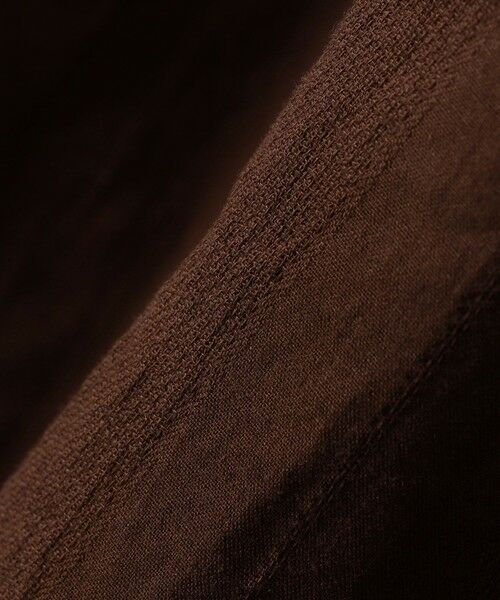 SHIPS / シップス シャツ・ブラウス | Gitman Vintage: CAMP DOBBY SS | 詳細1