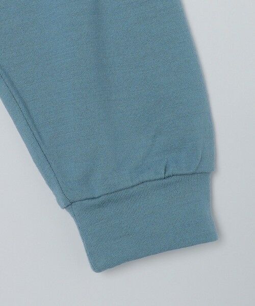 SHIPS / シップス カットソー | SHIPS: 〈抗菌消臭〉 ミルドウール ジャージー モックネック 長袖 ニットソー | 詳細25