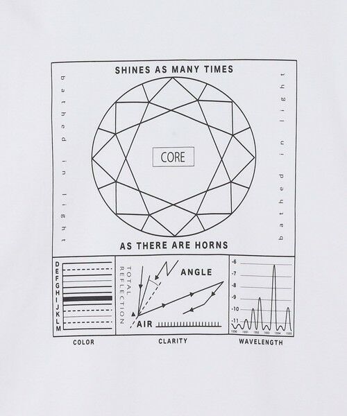 SHIPS / シップス Tシャツ | City Ambient Products: SHELTECH(R) グラフィック 長袖Tシャツ | 詳細12