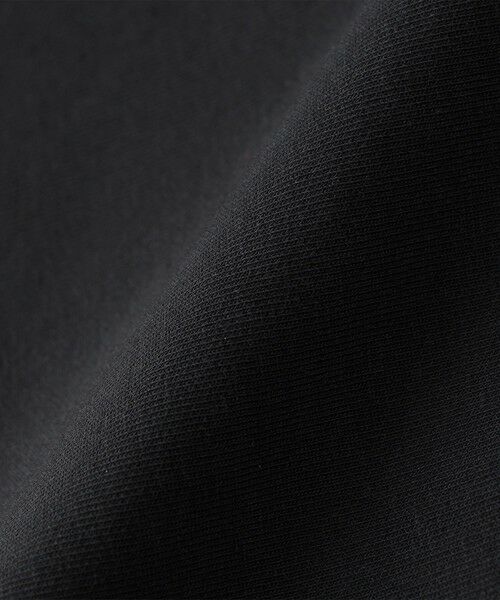 SHIPS / シップス Tシャツ | 【WEB限定】SHIPS: テレワーク ビズ ワンポイントロゴ ハイゲージ ダブルニット スウェット | 詳細27