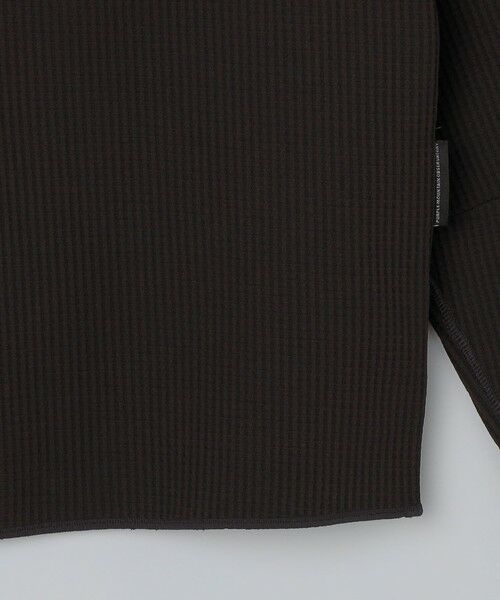 SHIPS / シップス Tシャツ | PURPLE MOUNTAIN OBSERVATORY: WAFFLE JERSEY | 詳細4
