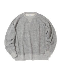 SHIPS / シップス スウェット | Southwick Gate Label: ベーシック カレッジ スウェット