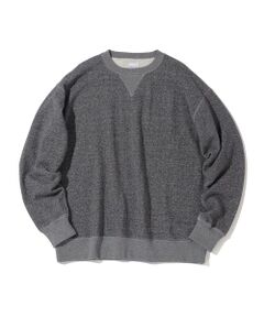 SHIPS / シップス スウェット | Southwick Gate Label: ベーシック カレッジ スウェット