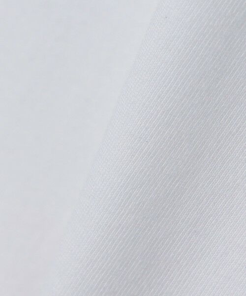 SHIPS / シップス Tシャツ | PEREGRINE: クラシック Tシャツ | 詳細1