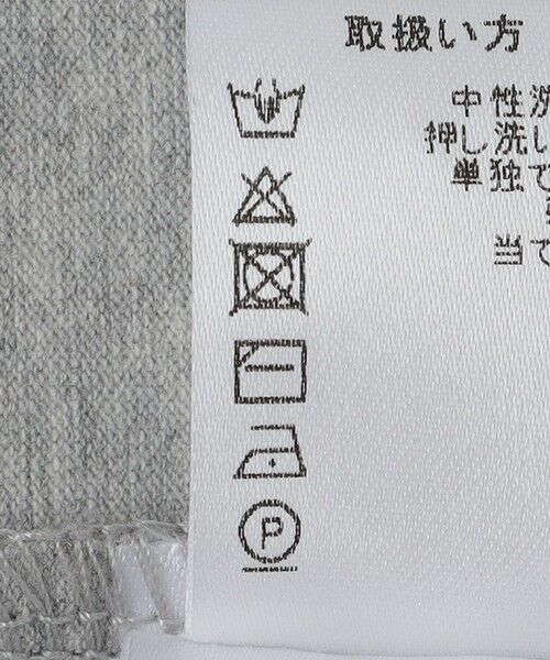 SHIPS / シップス Tシャツ | PEREGRINE: グラフィック Tシャツ | 詳細10