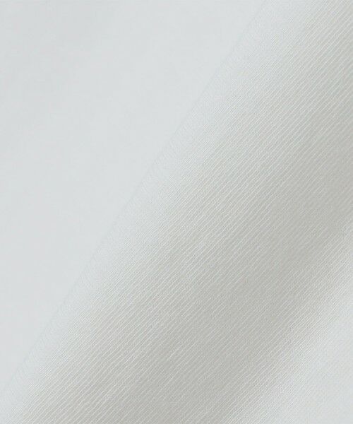 SHIPS / シップス Tシャツ | WYTHE NEW YORK: TUBULAR RINGER T-SHIRT | 詳細2