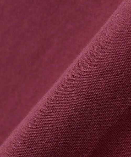 SHIPS / シップス Tシャツ | Alan Paine: コットン フェード ジャージー ポロシャツ | 詳細10