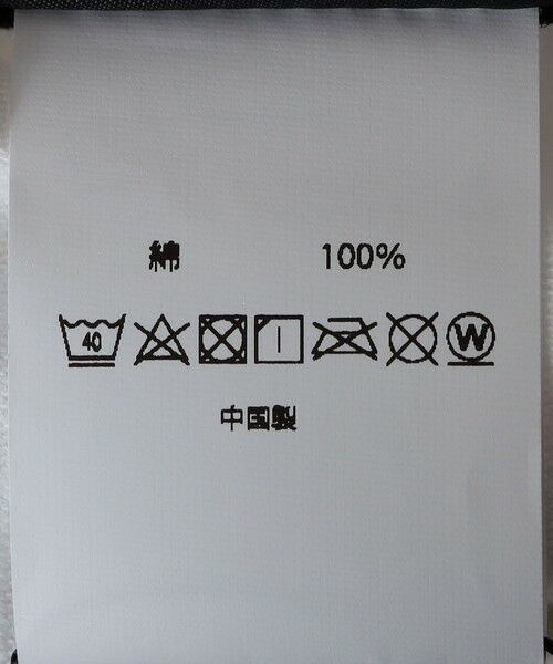 SHIPS / シップス Tシャツ | WORN FREE: WORKING CLASS HERO | 詳細12