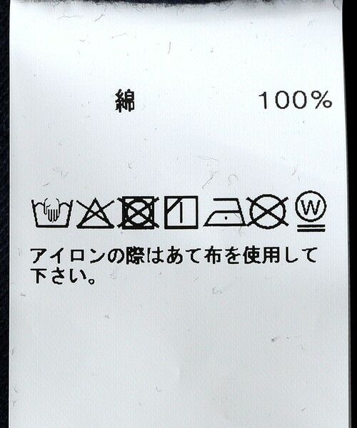 SHIPS / シップス Tシャツ | western hydrodynamic research: PLUMERIA TEE S/S | 詳細10