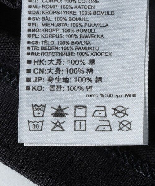 SHIPS / シップス Tシャツ | SALOMON: CHEST LOGO REGULAR TEE | 詳細8