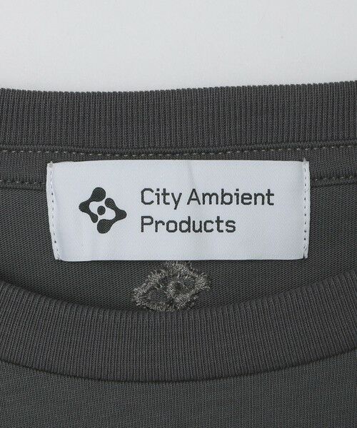 SHIPS / シップス Tシャツ | City Ambient Products: コンパクト ショート レングス  Tシャツ | 詳細20