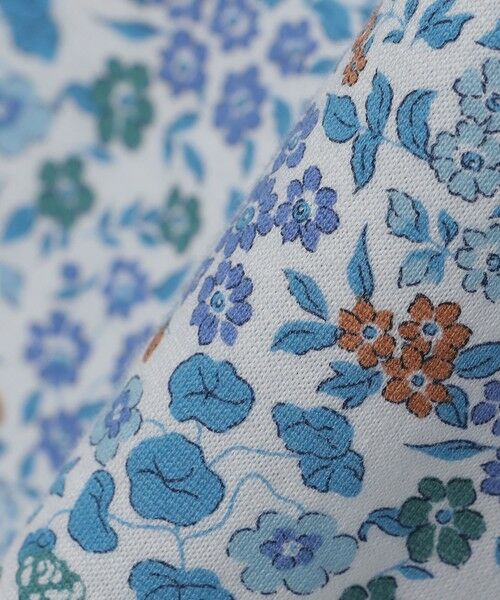 SHIPS / シップス Tシャツ | SHIPS: LIBERTY ショートスリーブ ポロシャツ | 詳細1