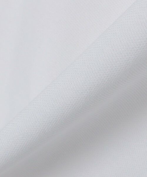 SHIPS / シップス シャツ・ブラウス | 【SHIPS別注】LACOSTE: クラシック ニットリブ ポロシャツ | 詳細4