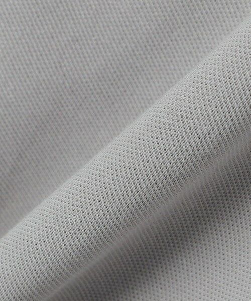 SHIPS / シップス シャツ・ブラウス | 【SHIPS別注】LACOSTE: クラシック ニットリブ ポロシャツ | 詳細18