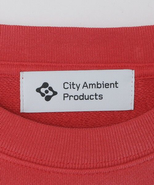 SHIPS / シップス スウェット | City Ambient Products: フロスト フェード スクエアロゴ スウェット | 詳細21