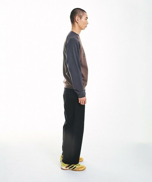 SHIPS / シップス スウェット | City Ambient Products: ラグランスリーブ プリント スウェット | 詳細6